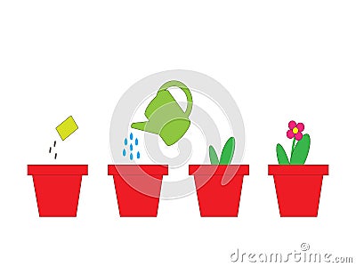 Cultivation of a plant in a pot. Sequence. Vector Illustration