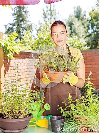 The cultivation of plants in pots Stock Photo