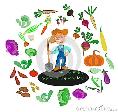 Cultivation of vegetables. Vector Illustration