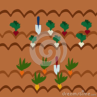 Cultivation of vegetables Vector Illustration