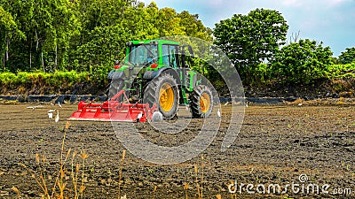 Cultivators and egrets in ploughing fields Editorial Stock Photo