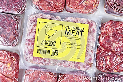 Cultured chicken meat concept for artificial in vitro cell culture meat production with frozen packed raw meat with label Stock Photo