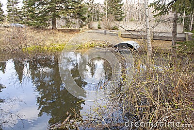 Culvert Pipe Under Road From Stream Oxbow in Park Stock Photo