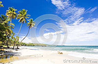 Cumana Bay Stock Photo