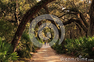 Beautiful Cumberland Island National Seashore Editorial Stock Photo