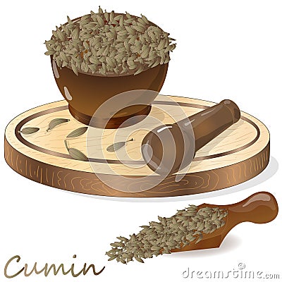 Cumin Zira seeds seasoning for meals and soups on a white background vector illustration Vector Illustration