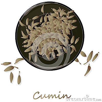 Cumin Zira seeds seasoning for meals and soups on a white background vector illustration Vector Illustration