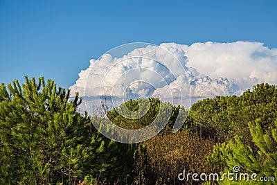 Cumulonimbus Cloud, Spain Stock Photo