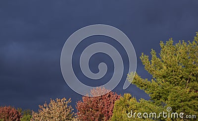 Storm clouds over fall season trees Stock Photo