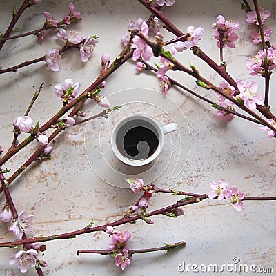 A cup of coffe with cherry blossom Stock Photo