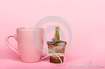 Cup of coffee, cactus and empty background. Pink mug and cactus. Stock Photo