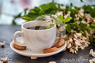 Cup of coffeel and acacia closeup. Stock Photo