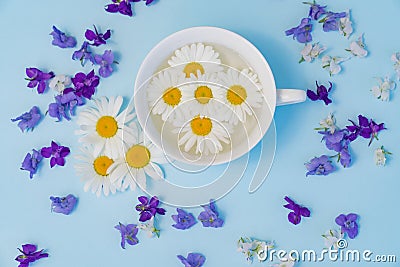Cup with daisies on blue background. natural medicines and cosmetics Stock Photo
