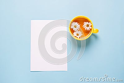 A cup of flowered chamomile tea and a blank empty sheet of white paper on a blue background . Stock Photo