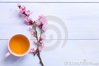 Cup of green tea and branches of blossoming peach on lilac wooden table Stock Photo