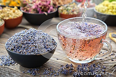 Cup of healthy lavender tea and dry lavender flowers. Healthy lavender tea poured into glass cup. Bowls of dry medicinal herbs. Stock Photo