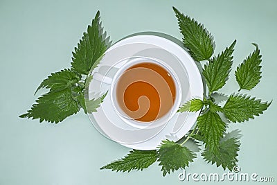 a cup of herbal nettle tea Stock Photo