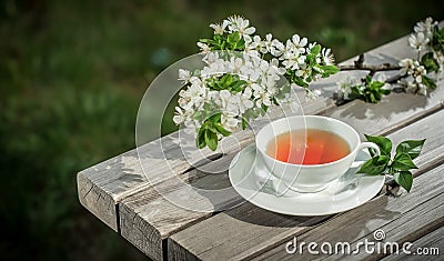 Cup of herbal tea Stock Photo