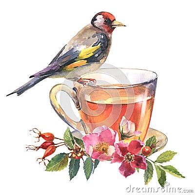 The cup of Herbal tea with fresh rose flowers of wild dog rose and goldfinch bird isolated on white background Cartoon Illustration