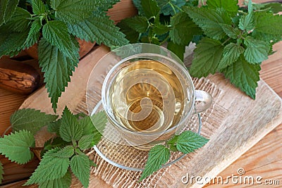 A cup of nettle tea with fresh stinging nettles Stock Photo