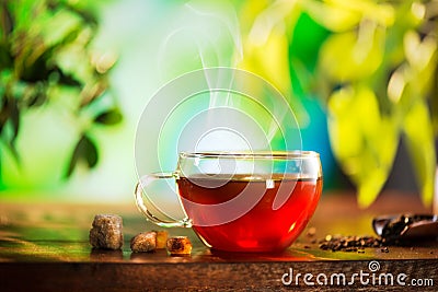 Cup of Herbal Tea Stock Photo