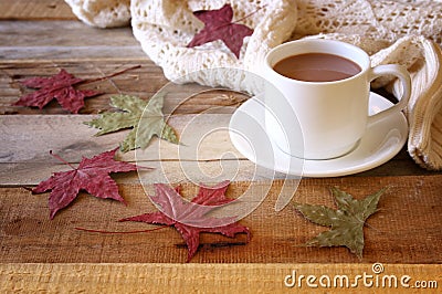 Cup of hot chocolate, autumn leaves and knitted sweater Stock Photo