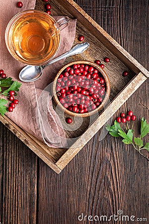 A cup of hot hawthorn tea made from freshly picked berries, herbal medicine for heart health with copy space Stock Photo