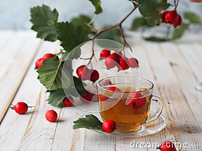 A cup of hot hawthorn tea made from freshly picked berries, herbal medicine for heart health on wooden background. The hawthorn Stock Photo