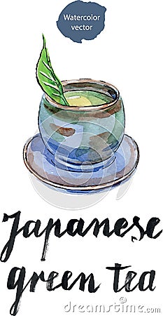 Cup of Japanese green tea with green leaf Vector Illustration