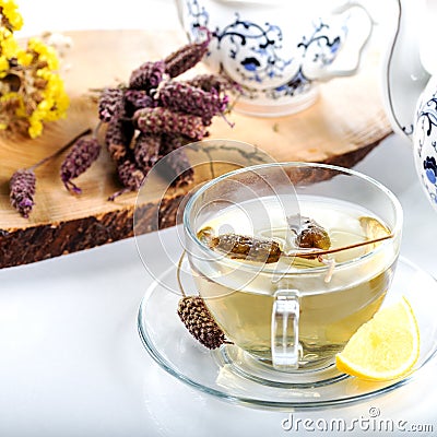 Cup of Lavandula stoechas tea lavender tea Stock Photo