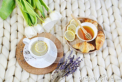 Cup with lavender tea, citrus and honey, croissant, white pastel giant knit blanket Stock Photo