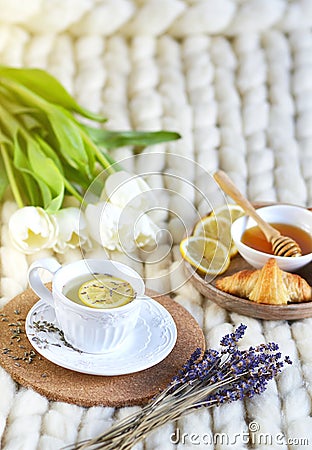 Cup with lavender tea, citrus and honey, croissant, white pastel giant knit blanket Stock Photo