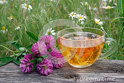Cup of linden tea on a wooden table. white butterfly sitting on a cup of herbal tea. clover flowers and a cup of flower tea. herba Stock Photo