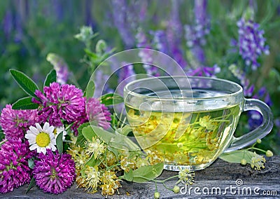 Cup of linden tea on a wooden table. white butterfly sitting on a cup of herbal tea. clover flowers and a cup of flower tea. herba Stock Photo