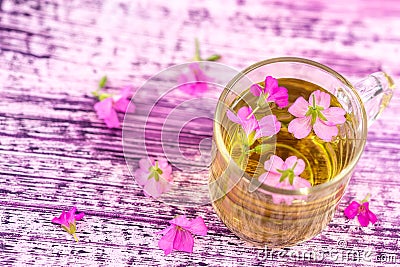 A cup of mallow tea with fresh blooming malva sylvestris plant against pink wooden background Stock Photo