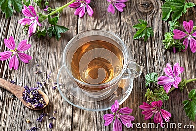 A cup of mallow tea with fresh malva sylvestris plant Stock Photo