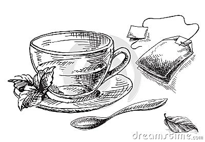 Cup, mint and tea bag Vector Illustration