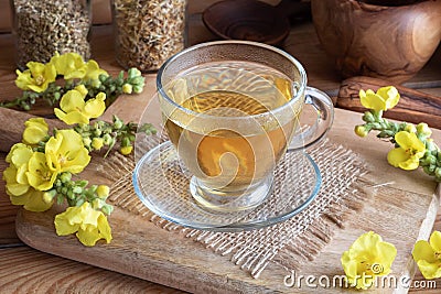 A cup of mullein tea with fresh blooming mullein Stock Photo