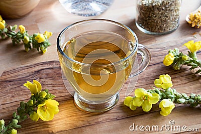 A cup of mullein tea with mullein flowers in the background Stock Photo