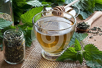 A cup of nettle tea with fresh and dry nettles in the background Stock Photo