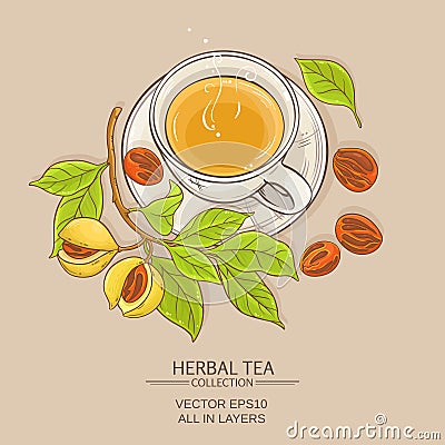 Cup of nutmeg tea Vector Illustration