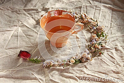Cup of oolong tea on linen background Stock Photo