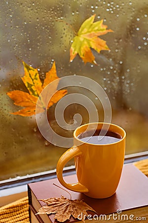 cup of tea, book, autumn leaves and candle on window sill at home Stock Photo