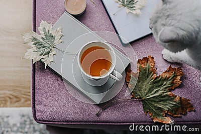 cup of tea with a book in the interior with autumn leaf, notebook and cat, hygge concept Stock Photo