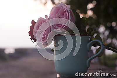 Cup of tea or coffee and pink roses. Empty coffee cup with flowers on sunrise bokeh light background. Happy valentine`s day Stock Photo