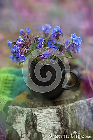 Cup of tea with flowers and warm plaid blanket on wooden stump, picnic in the autumn forest. Fall weekend. Photo toned, selective Stock Photo