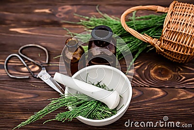 cup of tea from horsetail, made from fresh potion, from pharmacy mortar. Horsetail infusions are used as a diuretic for Stock Photo