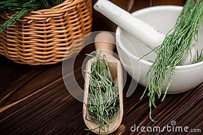 cup of tea from horsetail, made from fresh potion, from pharmacy mortar. Horsetail infusions are used as a diuretic for Stock Photo