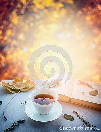 Cup of tea with thyme, autumn leaves and open book on wooden window sill on nature autumn blured background Stock Photo