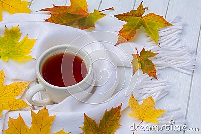 Cup of tea, warm white scarf and scattered autumn leaves on a white wooden table. Autumn concept Stock Photo